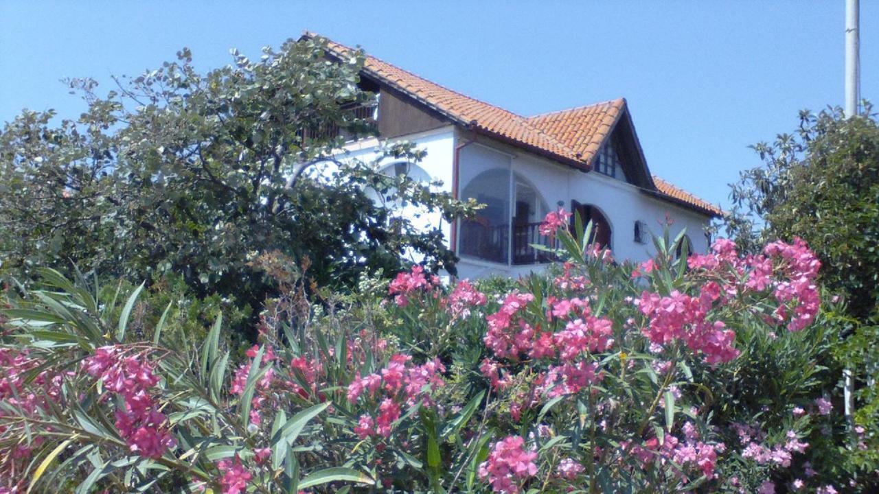Villa Iris Vrasná エクステリア 写真
